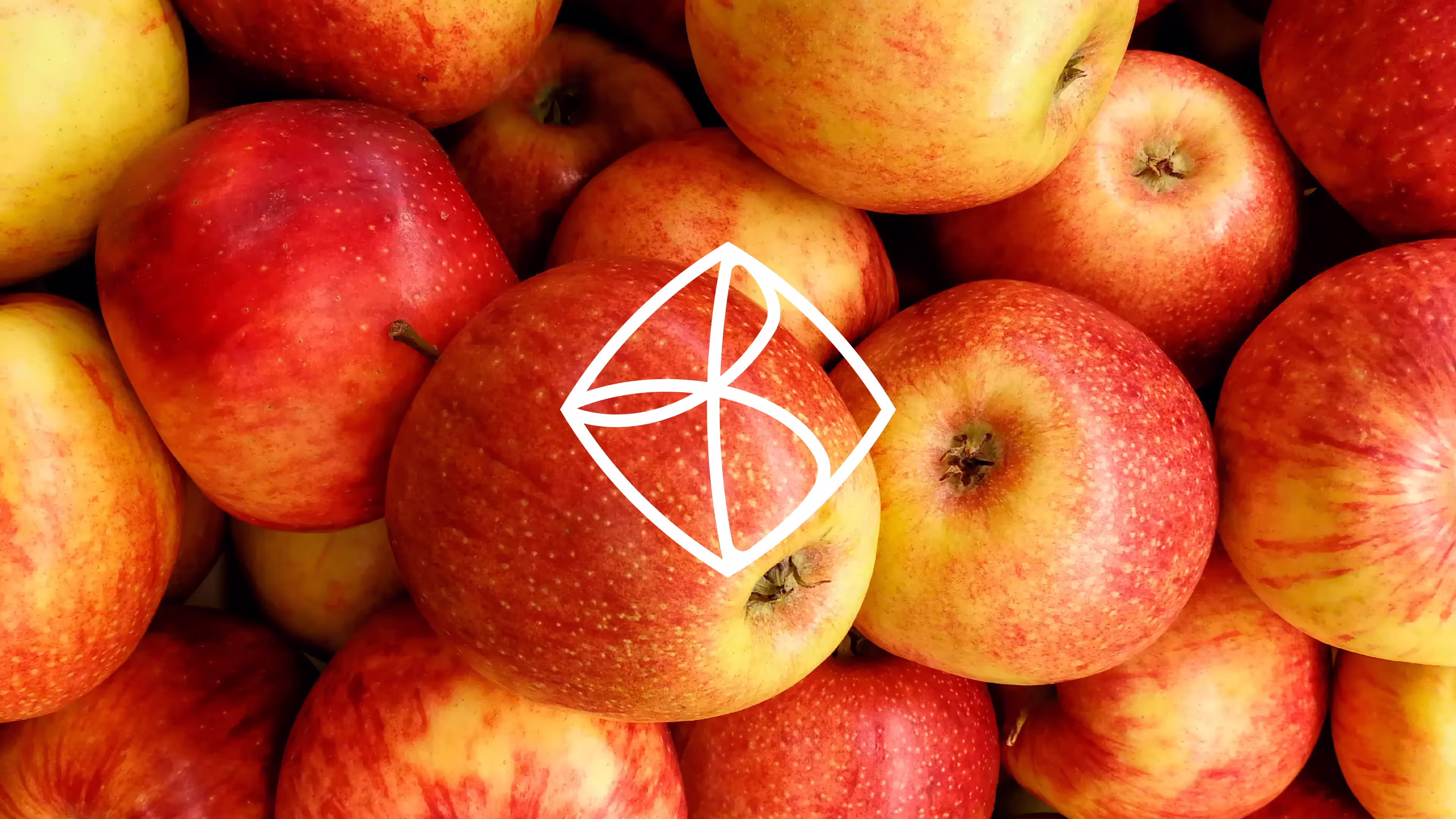 A photo of a bushel of apples with a white version of the Burst Cider logomark superimposed over the photo.